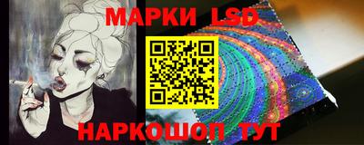 спиды Бердск
