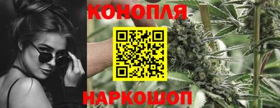спиды Бердск