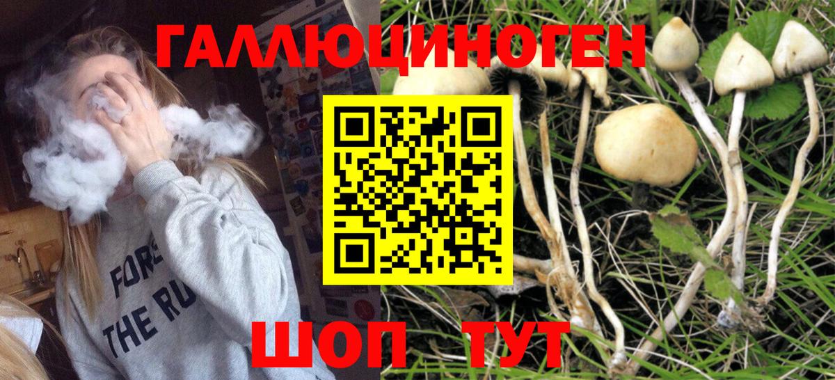 Псилоцибиновые грибы GOLDEN TEACHER  Вход с VPN  что такое наркотик  Снежинск 